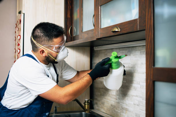 Best Pest Control Treatment  in Rogersville, MO