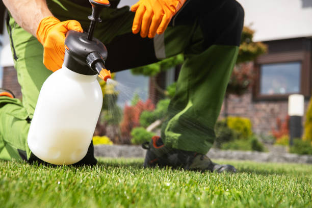 Best Pest Removal Services  in Rogersville, MO