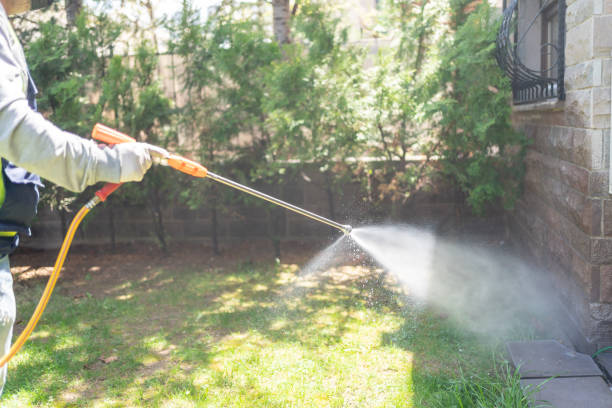 Best Pest Removal Services  in Rogersville, MO