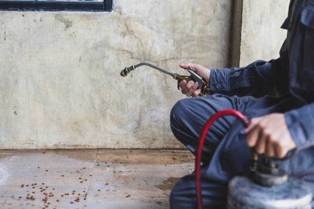 Best Best Pest Control Companies  in Rogersville, MO